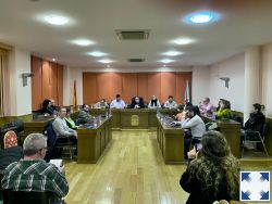 Pleno do Concello